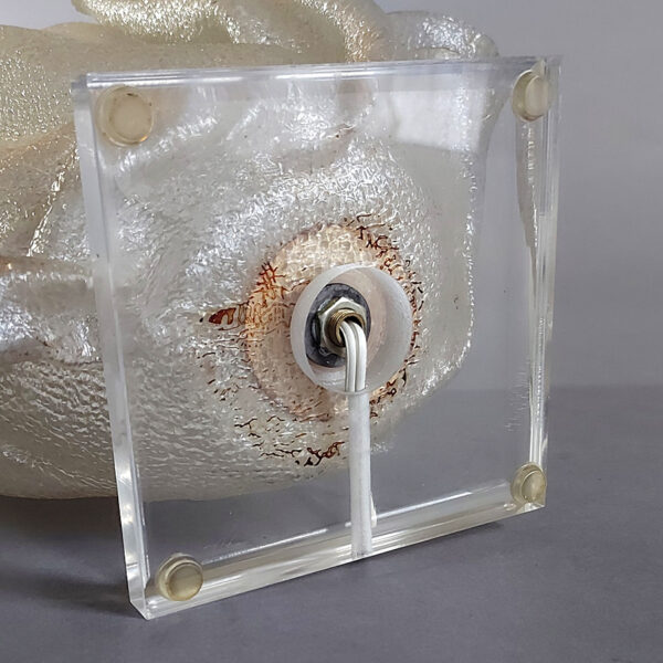 Free-Form Acrylic Table Lamp, Attributed to Gino Robert, Canada, c. 1970s