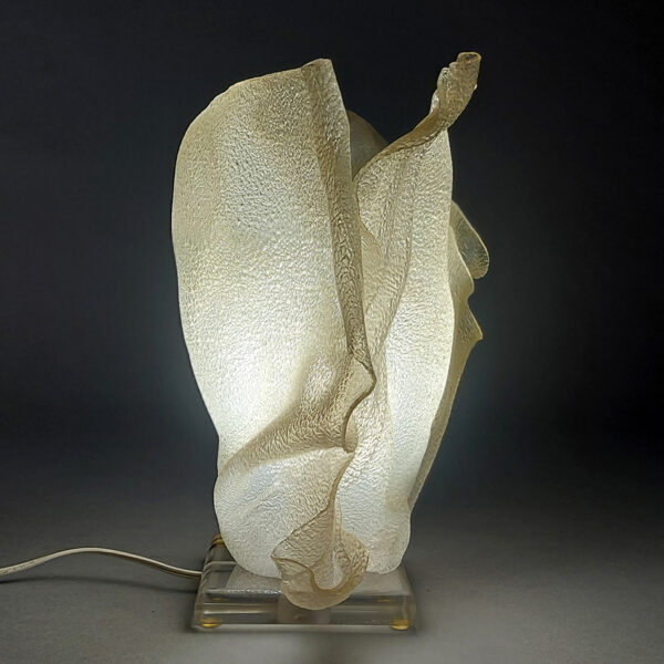 Free-Form Acrylic Table Lamp, Attributed to Gino Robert, Canada, c. 1970s